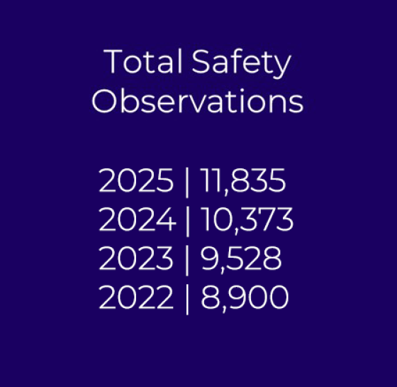 Safety obvs v3