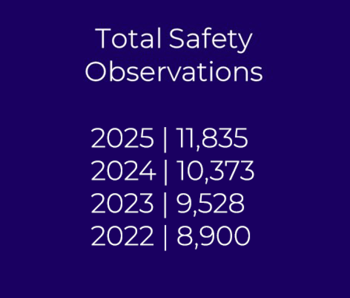 Safety obvs v3